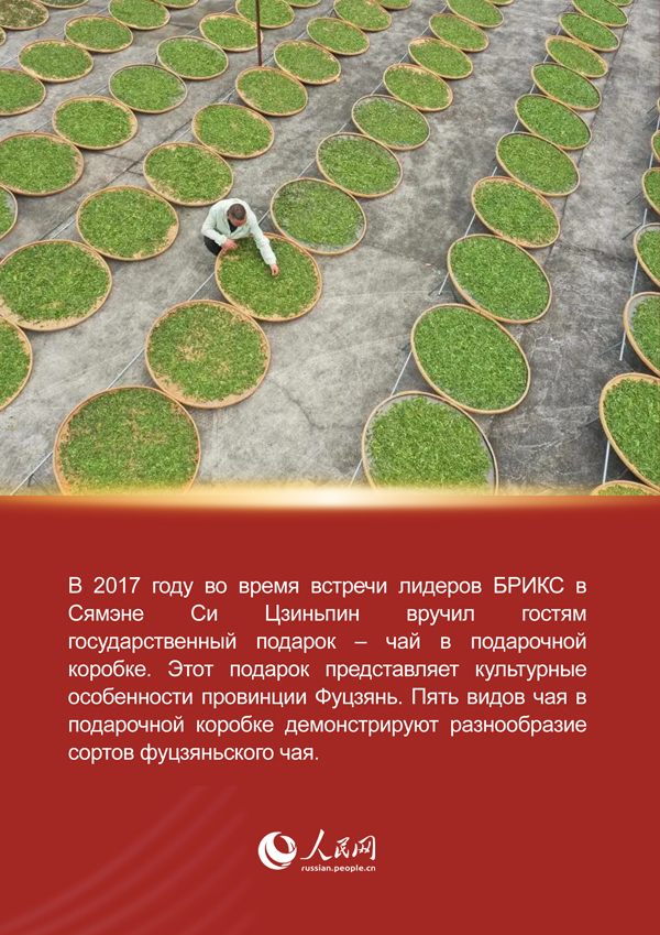 Си Цзиньпин и история чая из провинции Фуцзянь