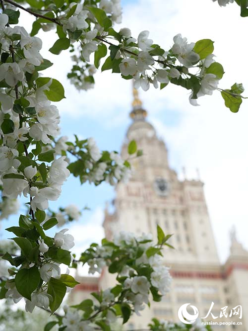 Московская весна в самом разгаре
