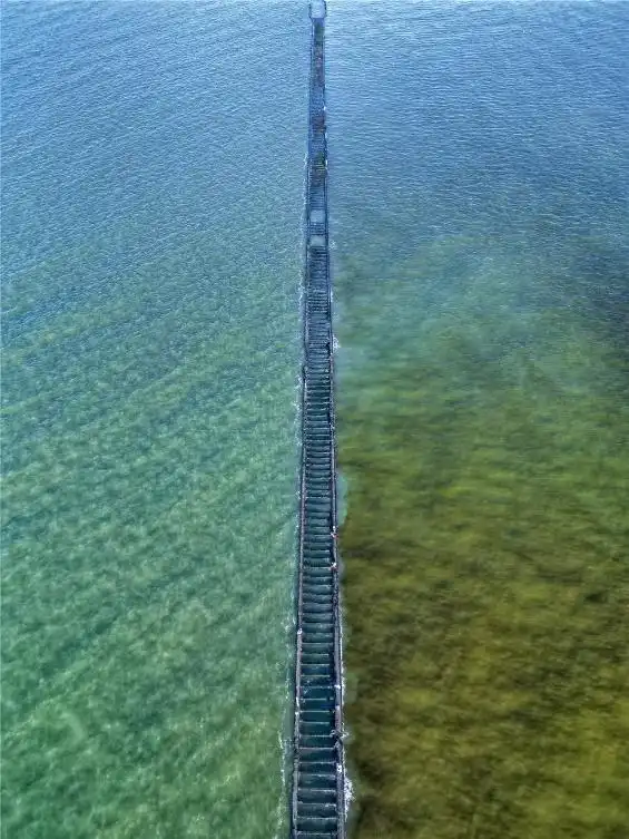 Впечатляющая картина слияния реки и моря в районе устья Хуанхэ в Дунъине провинции Шаньдун