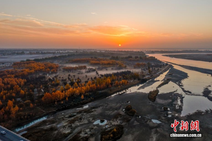 Леса тополей евфратских в бассейне реки Яркенд в Синьцзяне достигли пика своей красоты