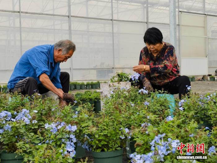 Сельские стартаперы способствуют развитию онлайн-продаж в Чжэцзяне