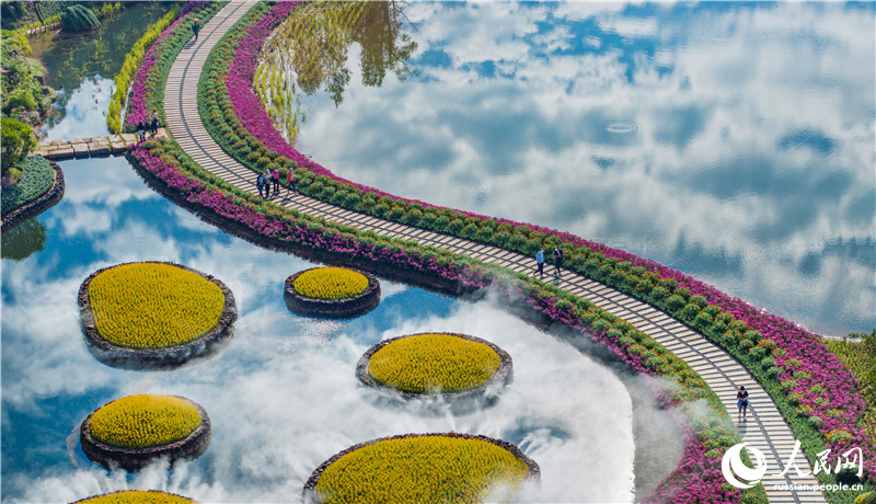 Красота сезонного цветения на горе Цинсю в Гуанси