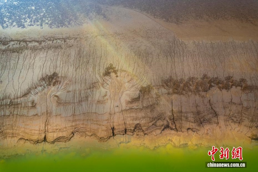 Искусство воды: «приливные деревья» в водохранилище Люцзяся в Ганьсу