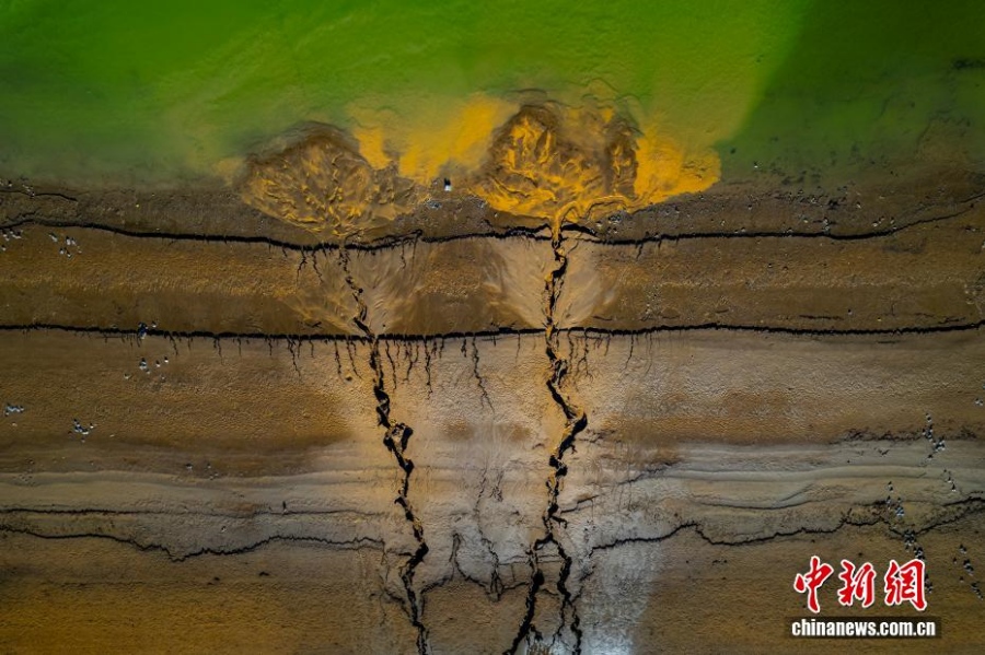 Искусство воды: «приливные деревья» в водохранилище Люцзяся в Ганьсу