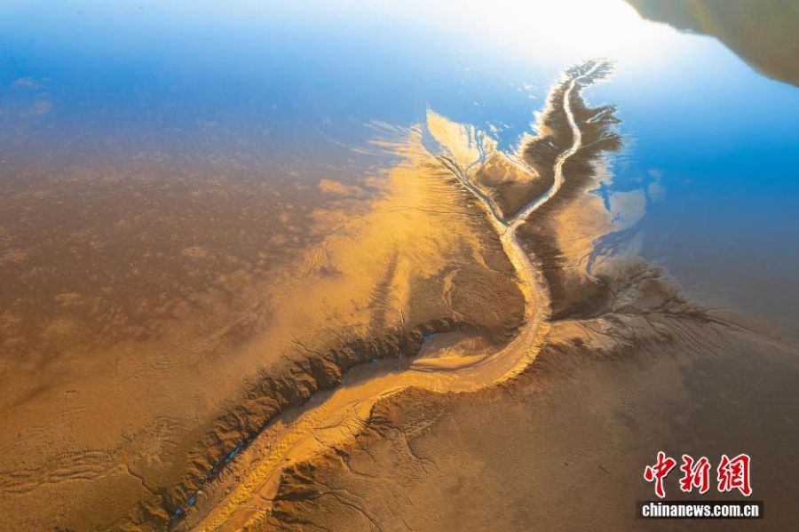 Искусство воды: «приливные деревья» в водохранилище Люцзяся в Ганьсу