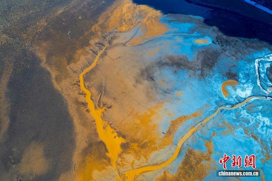 Искусство воды: «приливные деревья» в водохранилище Люцзяся в Ганьсу