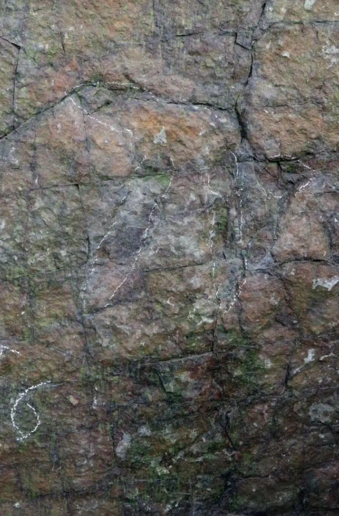 Следы динозавров возрастом около 200 млн лет найдены в Китае