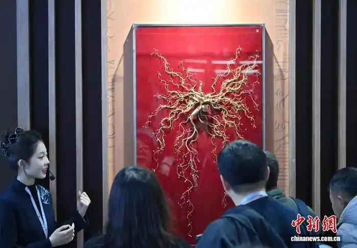 Выставка в Цзилине представила редкие образцы женьшеня