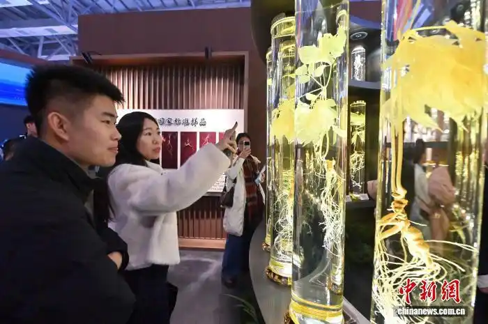 Выставка в Цзилине представила редкие образцы женьшеня