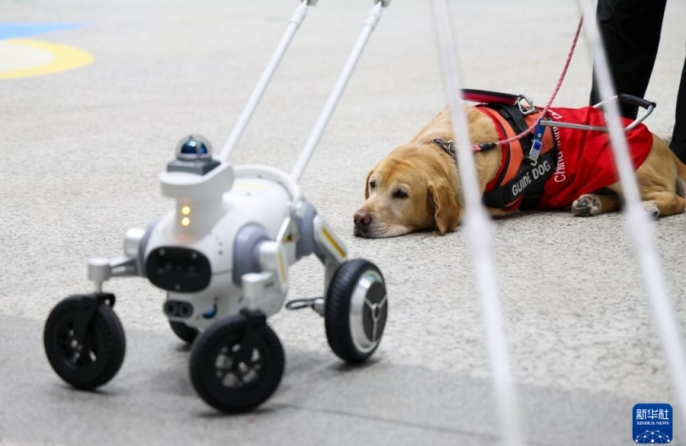 В метро Шэньчжэня начали испытания роботизированных собак-поводырей