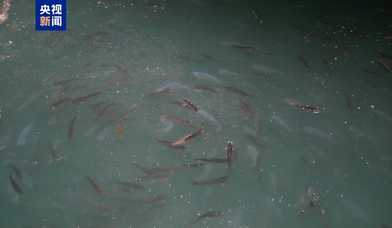 В Китае спущено на воду первое в мире судно для выращивания лососевых