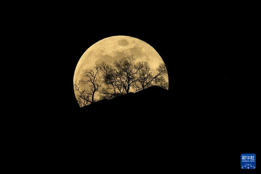 Первое в 2026 году суперлуние украсило ночное небо