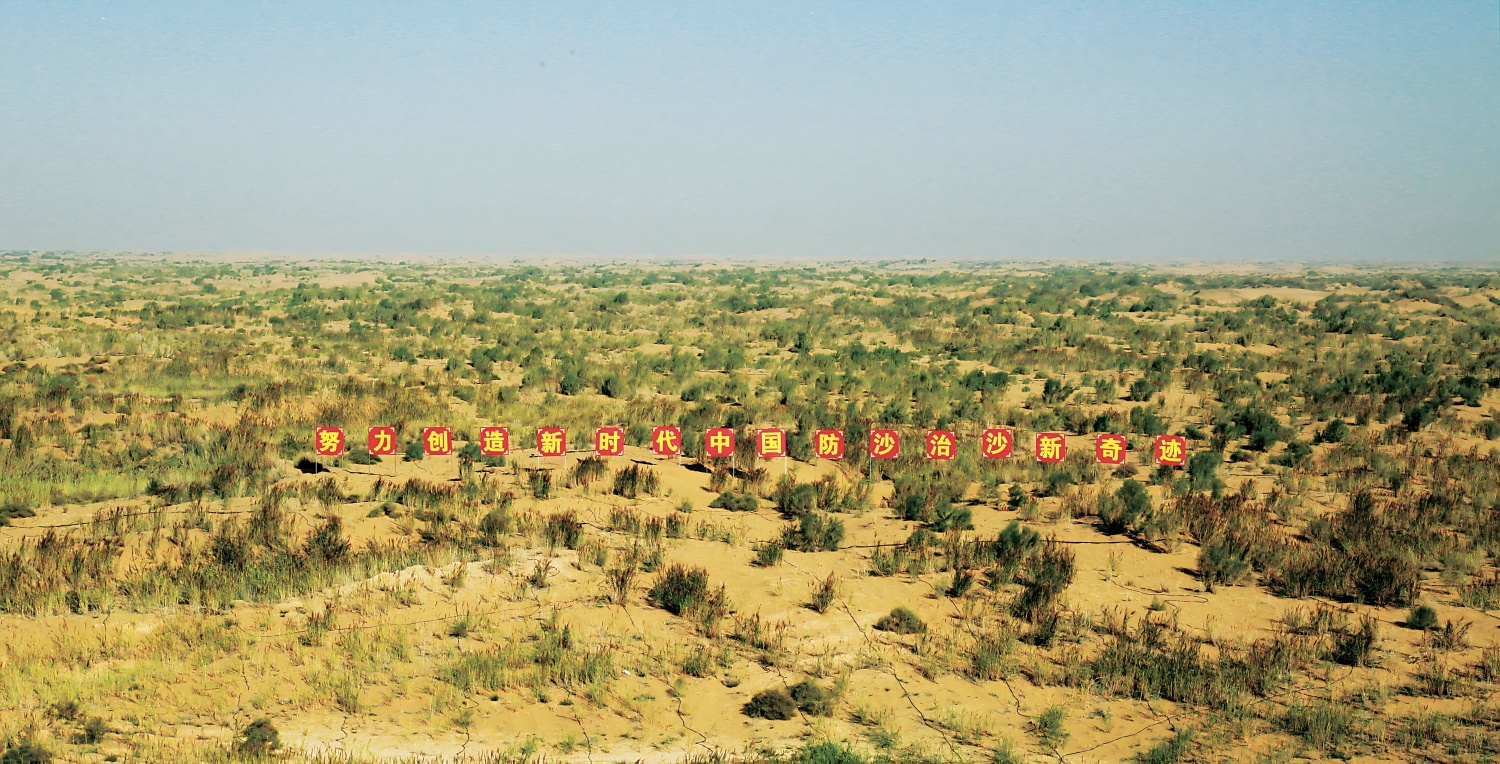 Лесопосадки в рамках программы «Три севера» превысили целевой показатель в 13 млн гектаров
