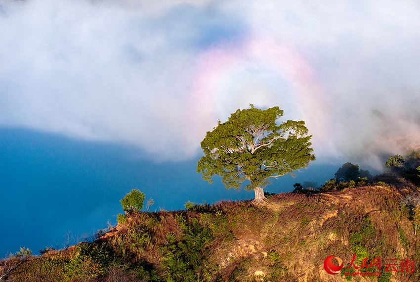 Восход солнца над морем облаков в Дали