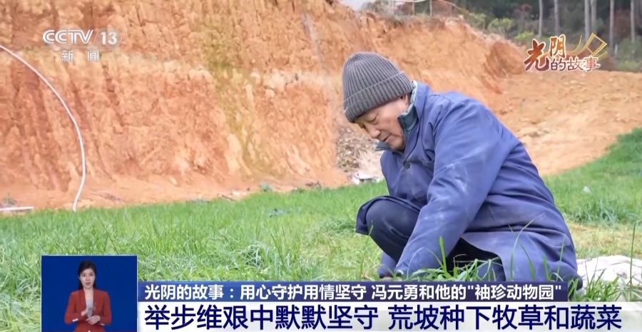 Малоизвестный зоопарк города Кайли стал интернет-сенсацией