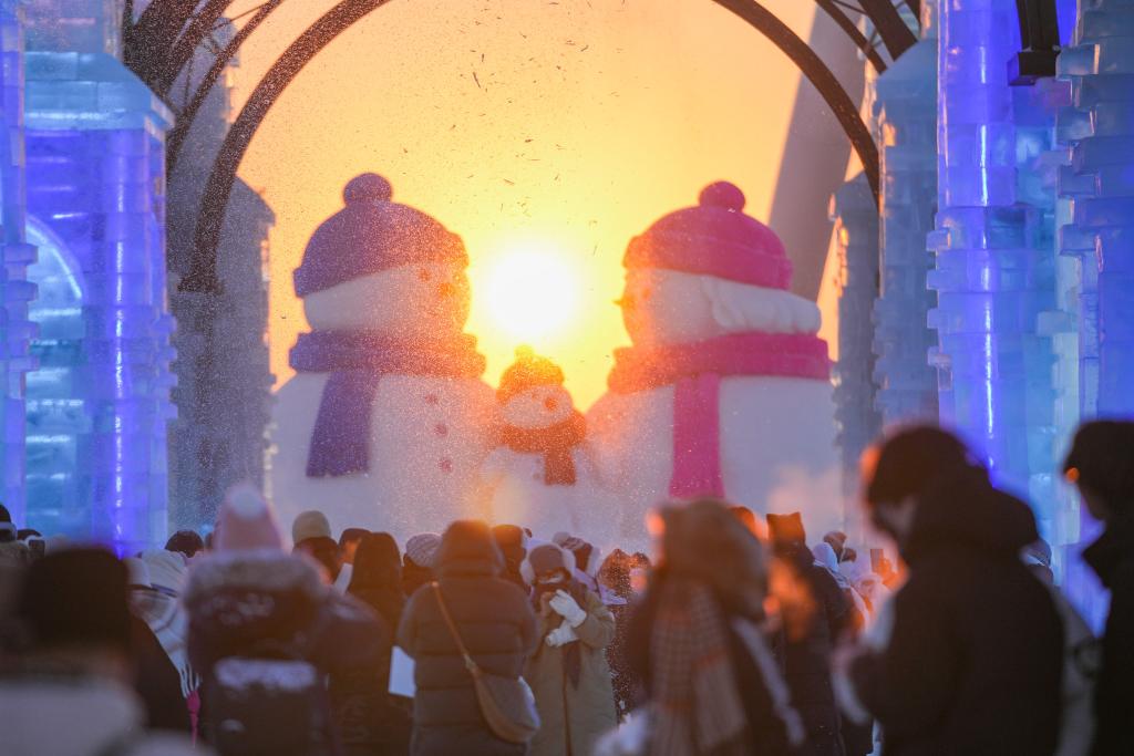 Харбин и Мурманск активизируют сотрудничество в различных сферах