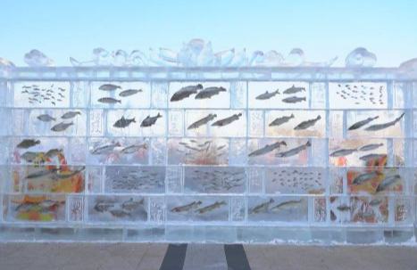 В Тунцзяне появилась трехметровая «рыбная» ледяная стена