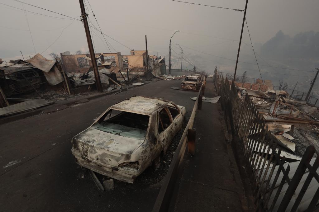 В двух областях Чили объявлено чрезвычайное положение после гибели в лесных пожарах 16 человек