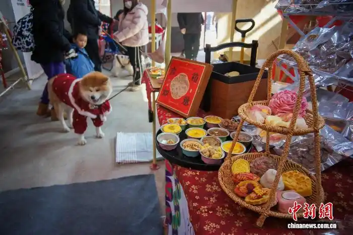 В Тяньцзине прошел фестиваль новогодних товаров для домашних животных