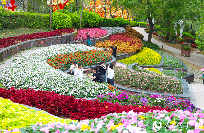 Наньнин в цвету: весна открывает свою красочную страницу