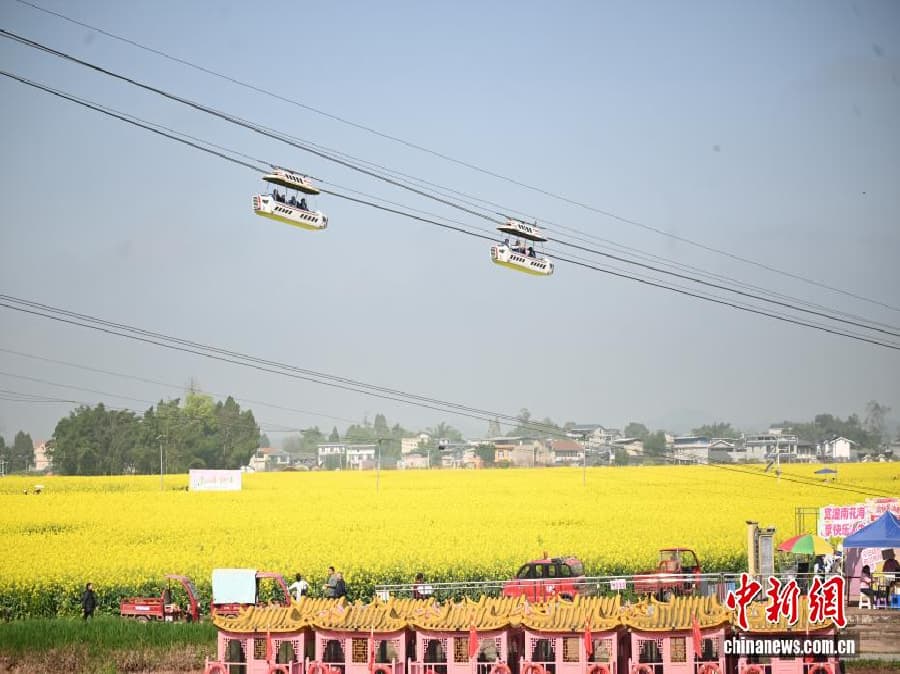 «Цветочная экономика» процветает в «овощной столице Китая»