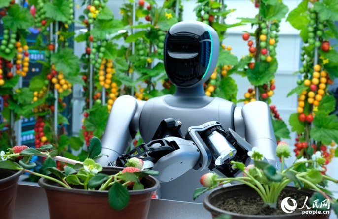 Полигон для роботов в Чжэнчжоу: от «новичков с конвейера» до «мастеров своего дела»