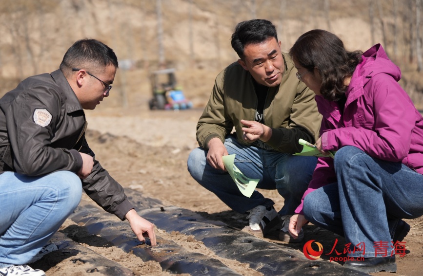 Интеллектуальная техника помогает весенним полевым работам в Цинхае