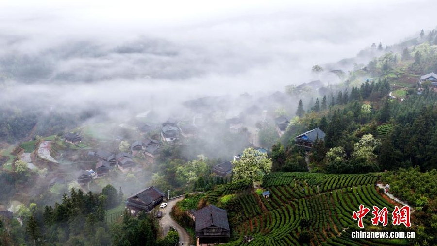 Весенняя красота дунской деревни в Гуанси