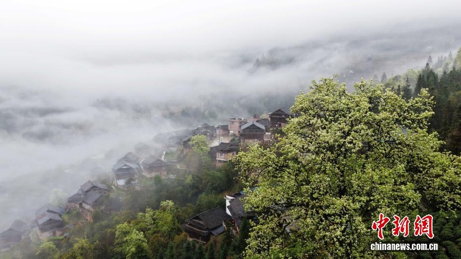 Весенняя красота дунской деревни в Гуанси