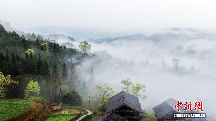 Весенняя красота дунской деревни в Гуанси