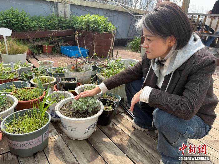 В Ухане университет организовал сад на крыше для отдыха студентов