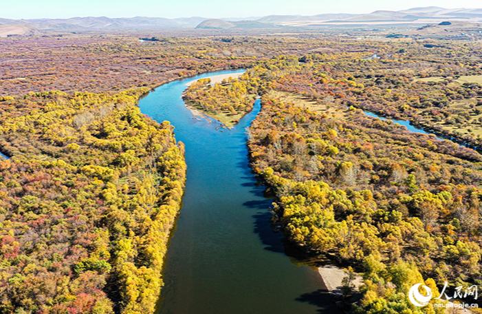 Золотая осень пришла в водно-болотные угодья реки Аргунь