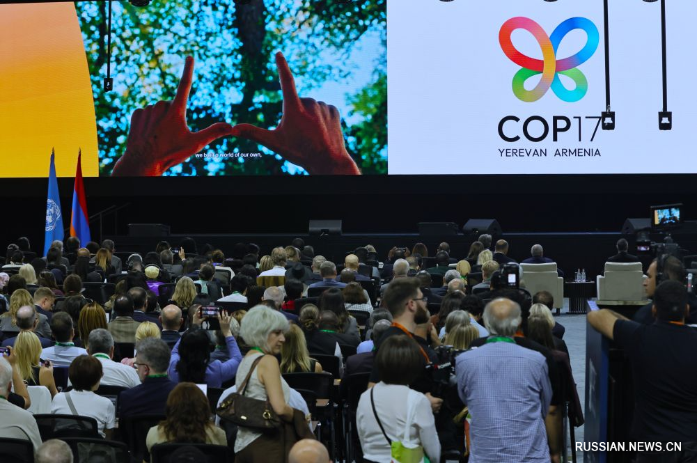 В Армении открылась конференция COP17