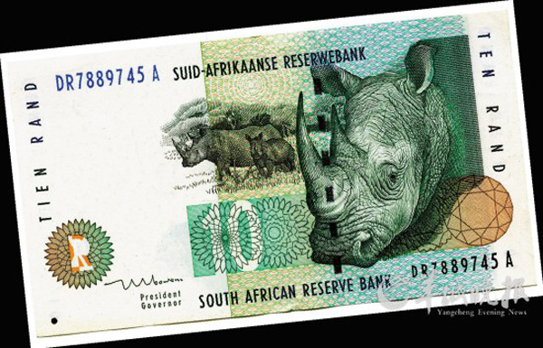 Белый носорог на южноафриканской 10-ке