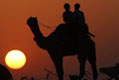 Ярмарка верблюдов в Индии 