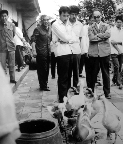 В мае 1982 года Ван Цишань сопровождает руководителей Центральной канцелярии по изучению сельских районов в инспекционной поездке в город Путянь провинции Фуцзянь /Восточный Китай/.