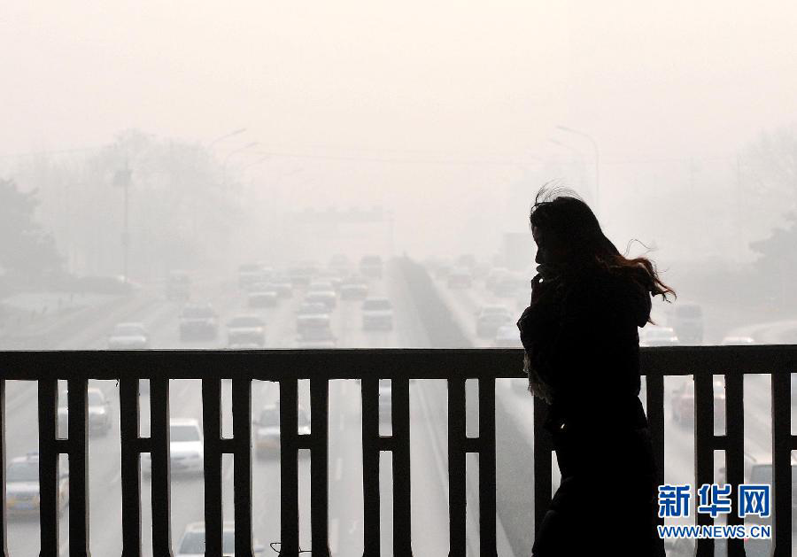 Пекин в четвертый раз за месяц окутала пыльная мгла (10)