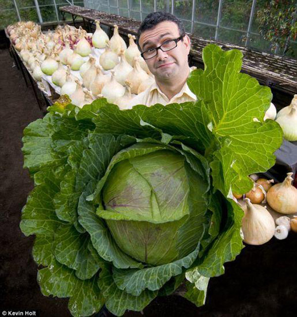 Фото: невероятные овощи (15)