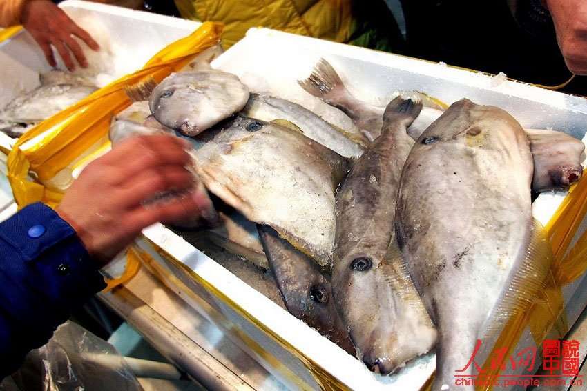 Свежая рыба из Дяоюйдао пользуется большим спросом на рынках Шанхая (8)