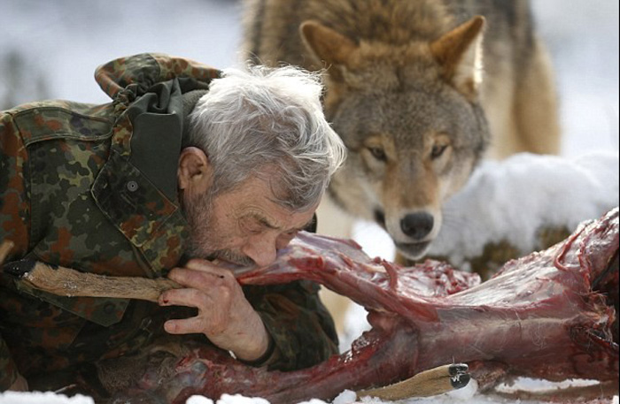 Бывший немецкий десантник делится мясом с волками (4)