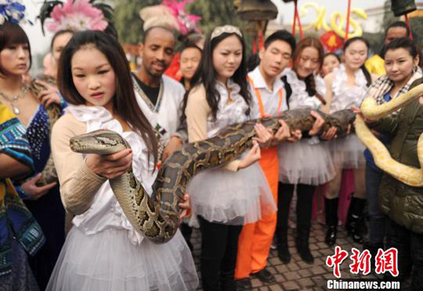 В преддверии года Змеи, жители города Чунцина гладят питонов "на счастье"