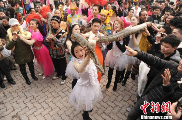 В преддверии года Змеи, жители города Чунцина гладят питонов "на счастье" (5)