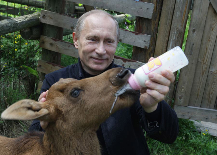 Фотосессия: Владимир Путин, мастер на все руки! (20)