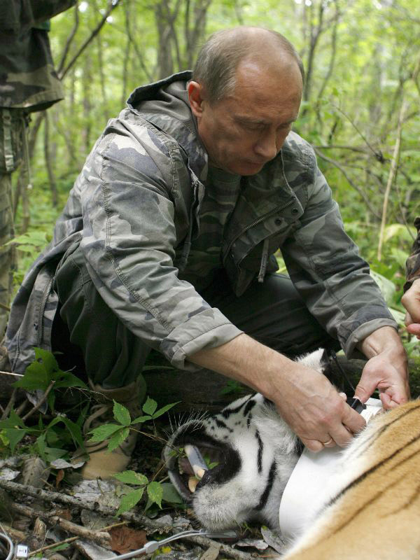 Фотосессия: Владимир Путин, мастер на все руки! (8)