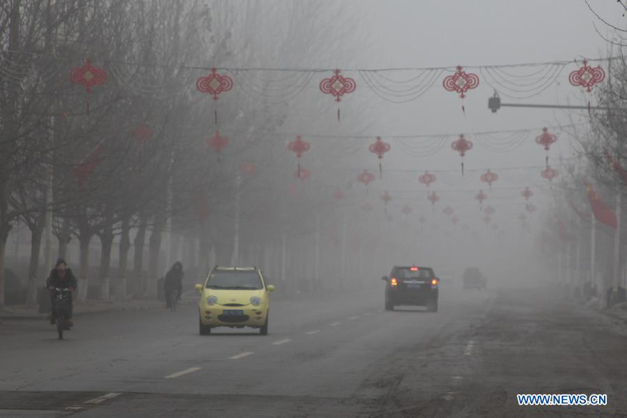 Густой туман оказывает негативное влияние на работу транспорта Пекина (3)