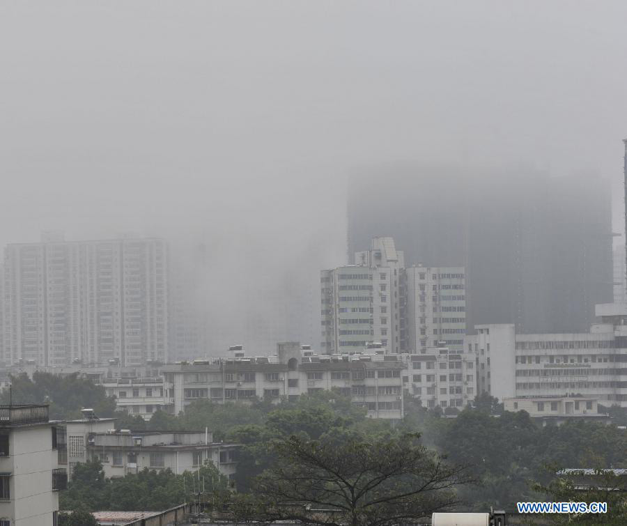 Густой туман оказывает негативное влияние на работу транспорта Пекина (7)