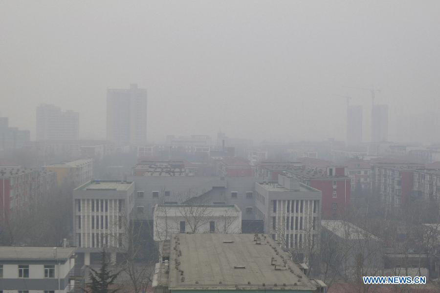 Густой туман оказывает негативное влияние на работу транспорта Пекина (8)