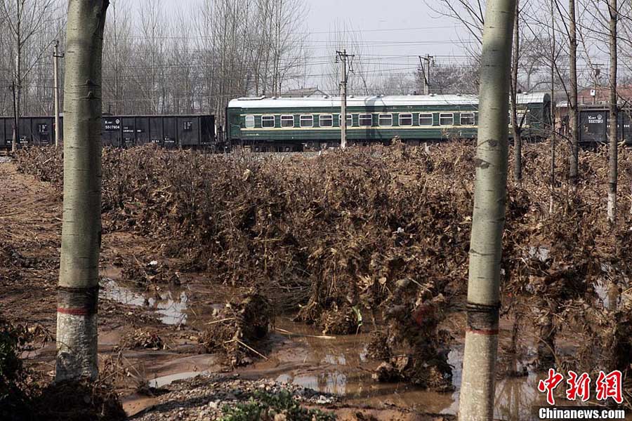 Восстановилось сообщение по железной дороге, поврежденной в результате обрушения плотины водохранилища Цюйтин в Северном Китае (7)