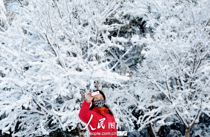 На многие районы Цзянсу обрушился снегопад  (17)