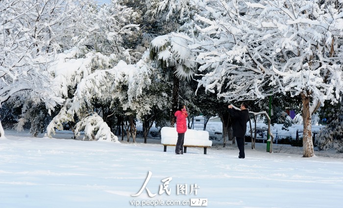 На многие районы Цзянсу обрушился снегопад  (15)